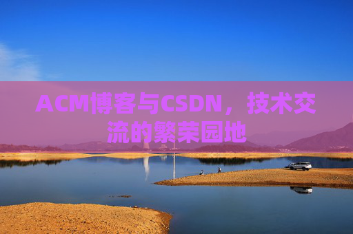 ACM博客与CSDN，技术交流的繁荣园地